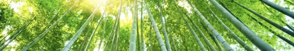 Growing within when company is growing out